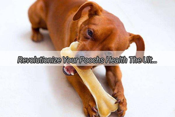 Revolutionize Your Poochs Health The Ultimate Guide to AntiTumor Dog Diets